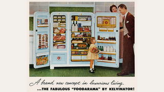 One Hundred Years of the Fridge